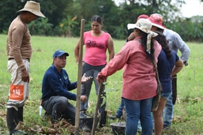 fundación Yuma Siembra